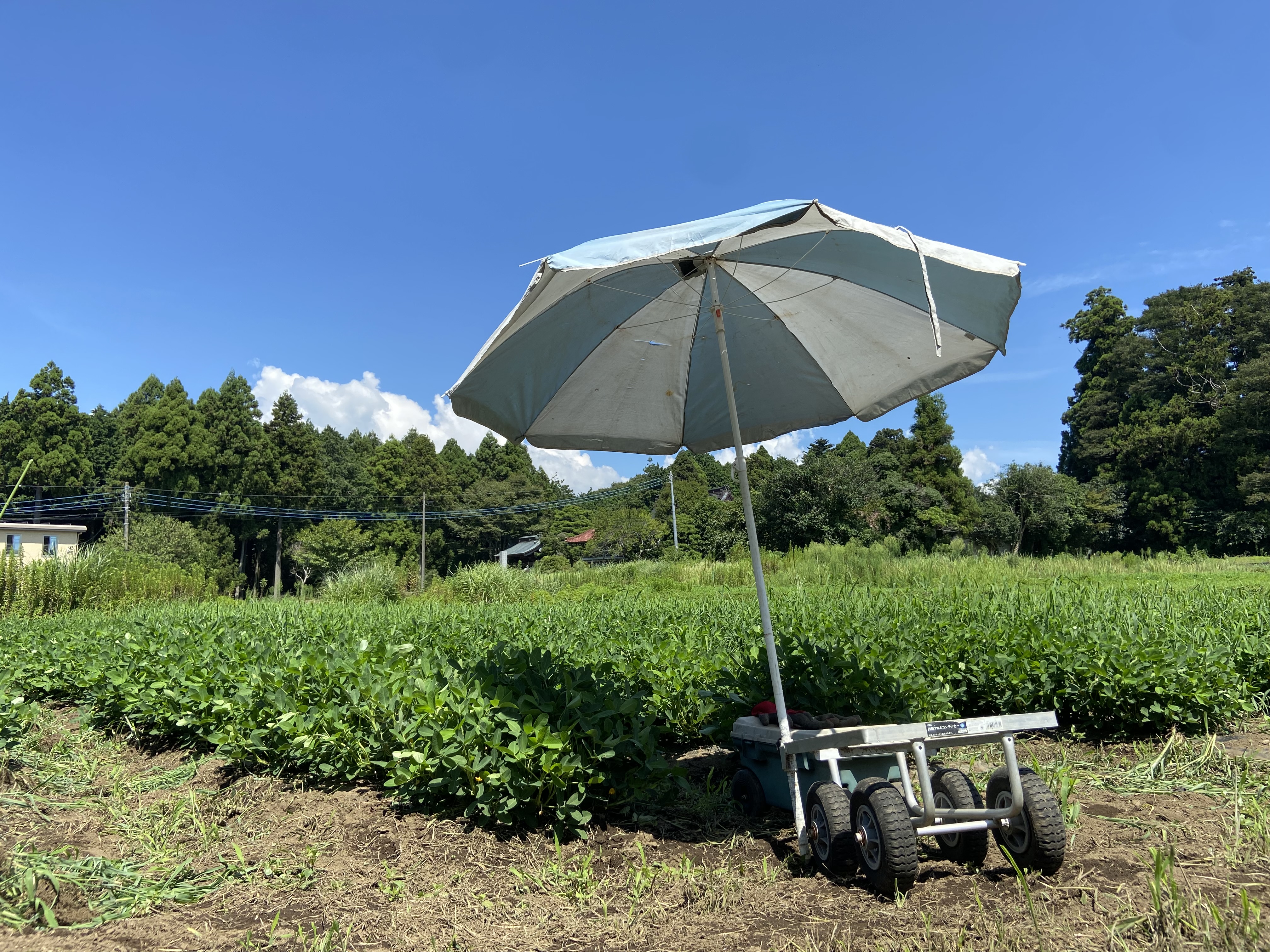 MINEFARM 富士山麓の畑